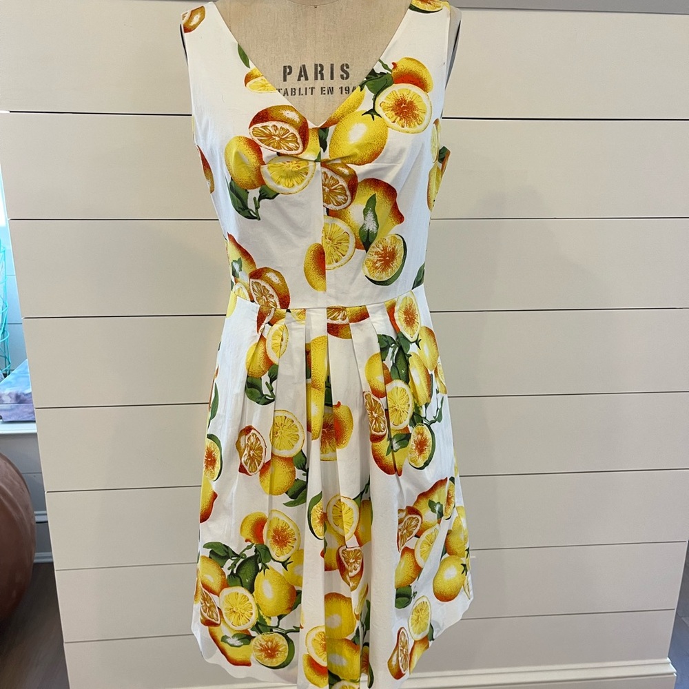 Banana Republic Fit and Flare Lemon Print Dress